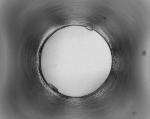 X0000097881096200804110943