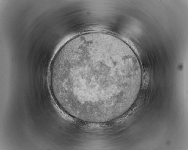 X0000097881098200804110943