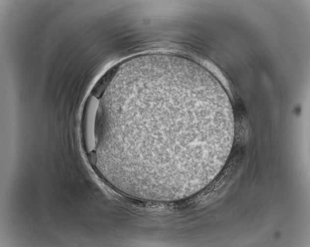 X0000097881099200804110943