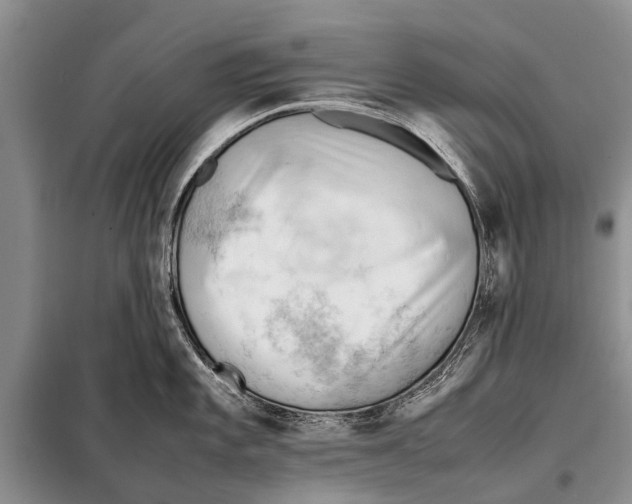 X0000097881101200804110943