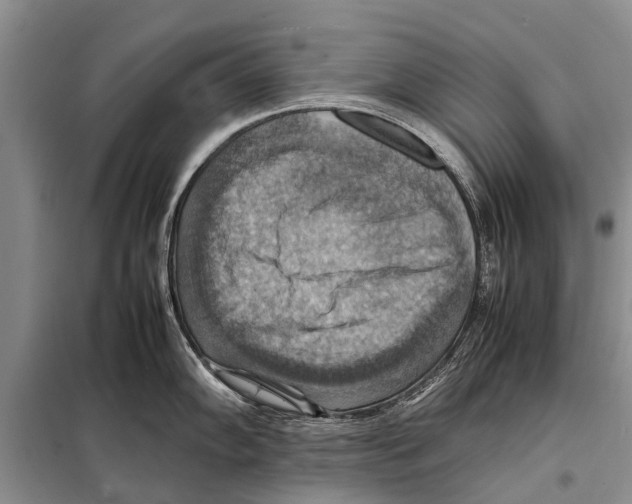 X0000097881102200804110943