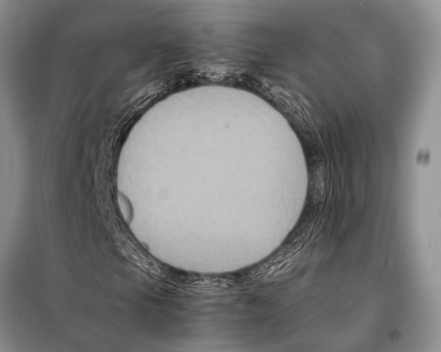 X0000097881105200804110942