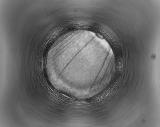 X0000097881108200804110943