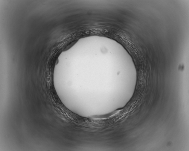 X0000097881109200804110943