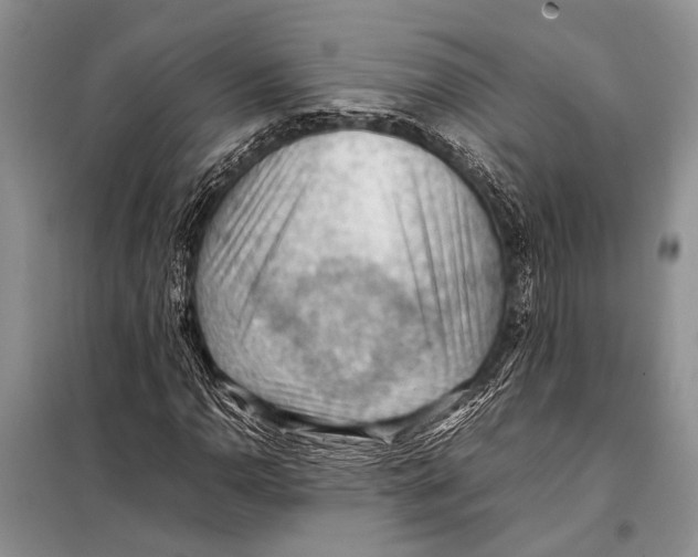 X0000097881110200804110943