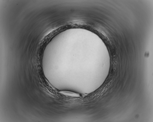 X0000097881112200804110943