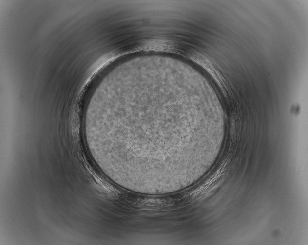 X0000097881115200804110943