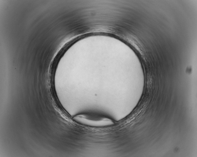 X0000097881116200804110943