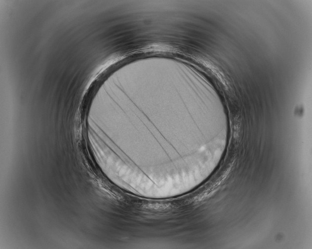 X0000097881117200804110943