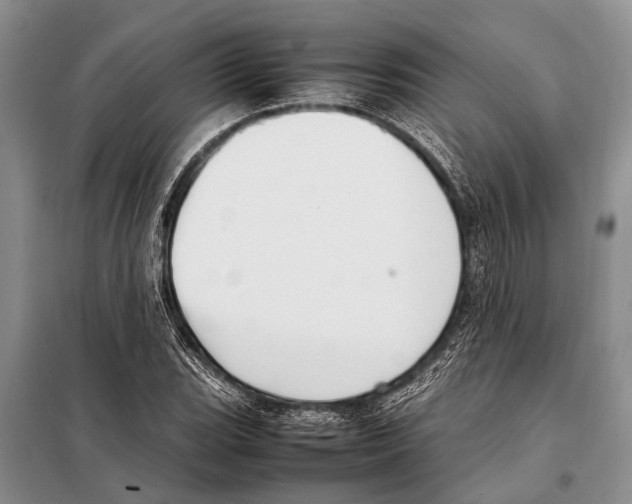 X0000097881119200804110943