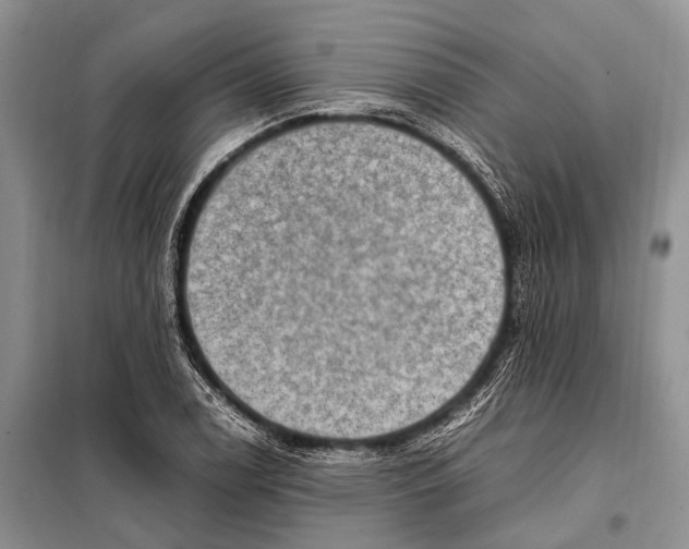 X0000097881122200804110943