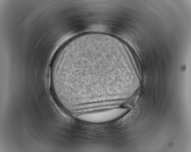 X0000097881123200804110943