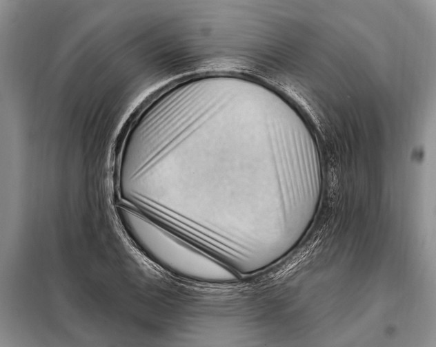 X0000097881124200804110943