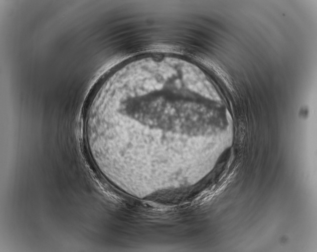 X0000097881125200804110943