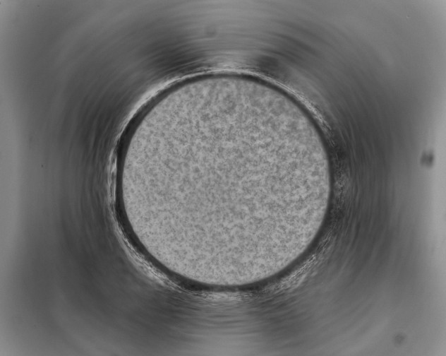 X0000097881126200804110943