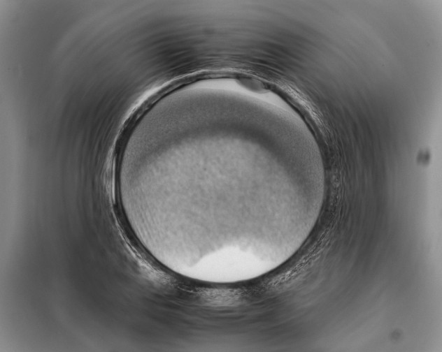 X0000097881127200804110943