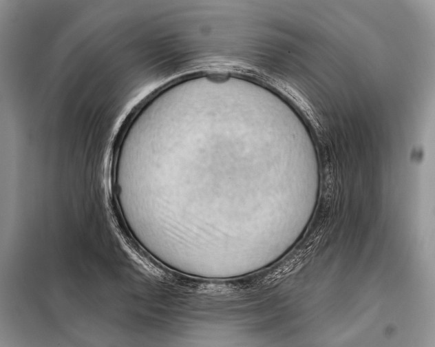 X0000097881128200804110943