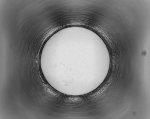 X0000097881129200804110943