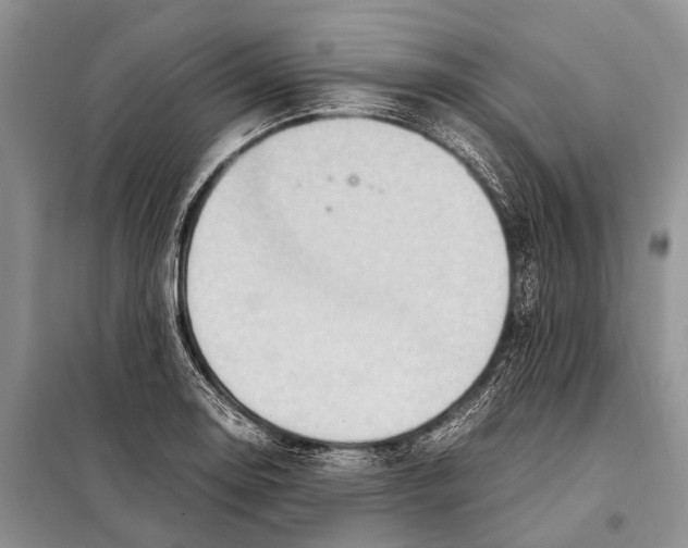 X0000097881130200804110943