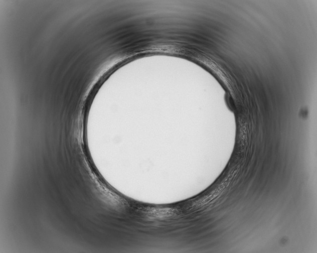 X0000097881131200804110943