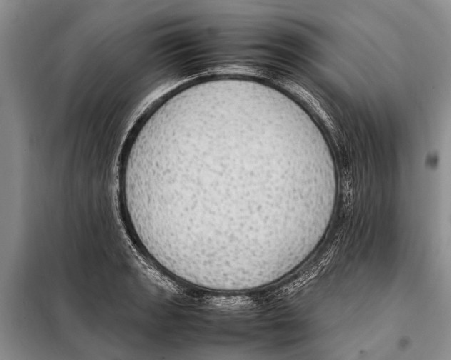 X0000097881133200804110943