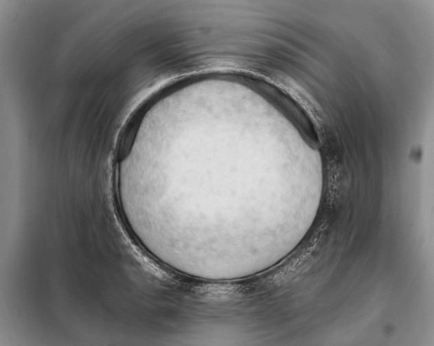 X0000097881134200804110943