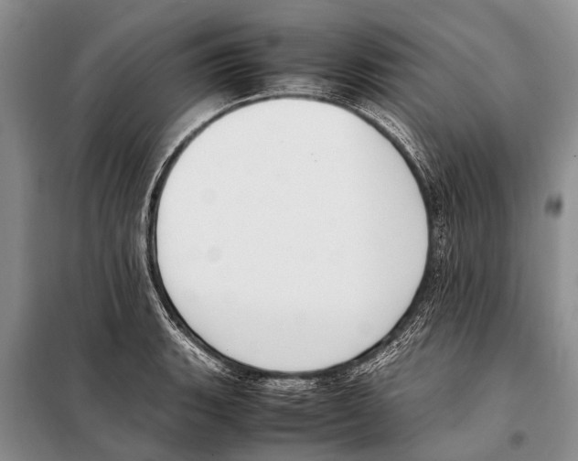 X0000097881135200804110943