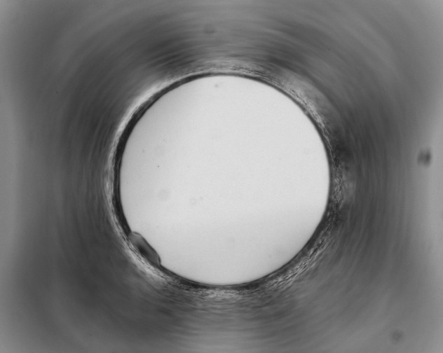 X0000097881136200804110943