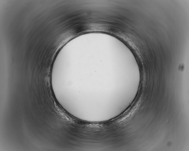 X0000097881137200804110943