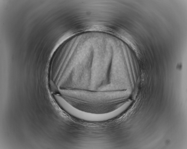 X0000097881138200804110943