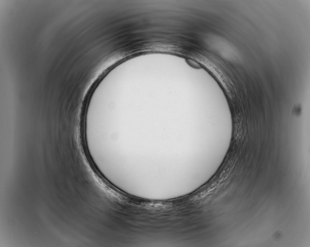 X0000097881139200804110943