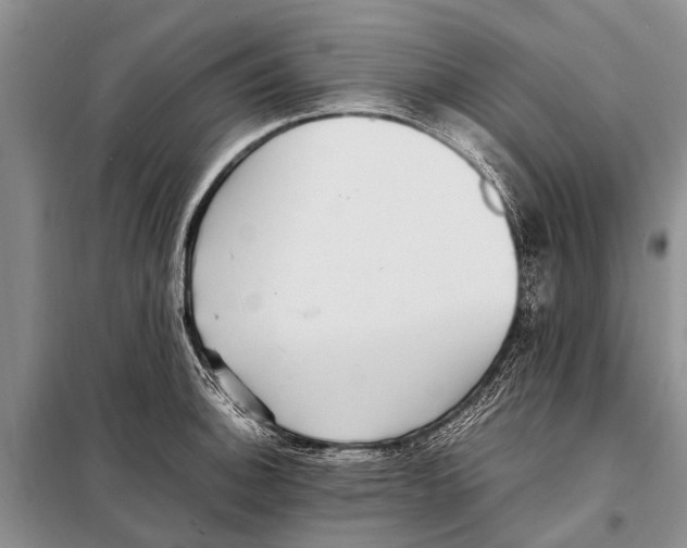 X0000097881140200804110943