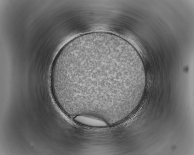 X0000097881142200804110943