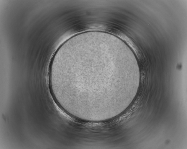 X0000097881143200804110943