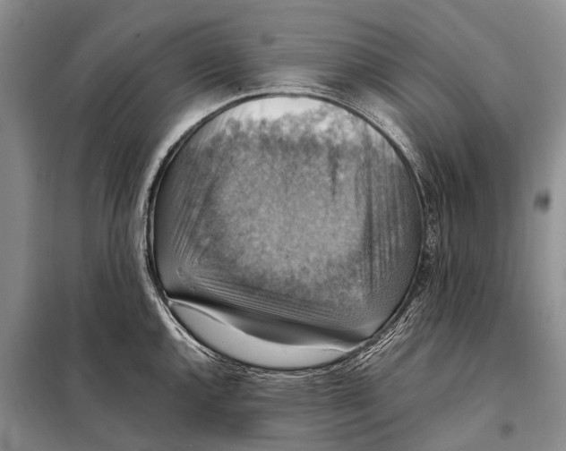 X0000097881144200804110943