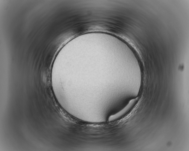 X0000097881145200804110943