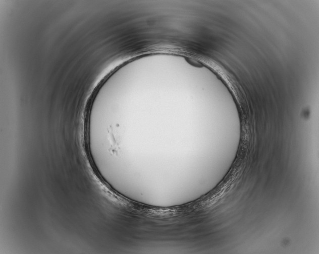 X0000097881147200804110943