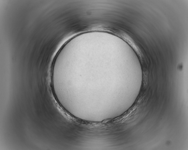 X0000097881148200804110943