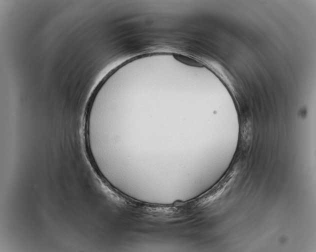 X0000097881149200804110943