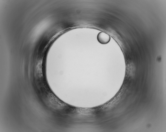 X0000097881150200804110943