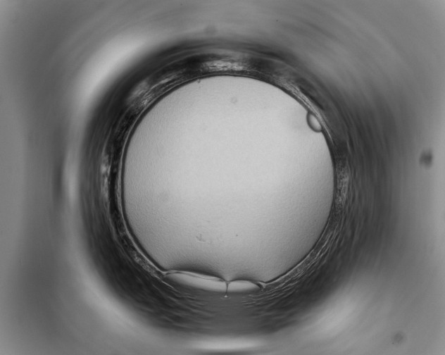 X0000097881151200804110943