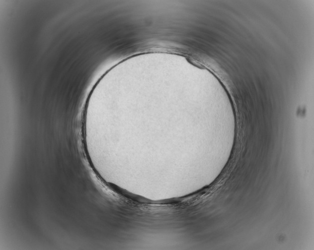 X0000097881152200804110943