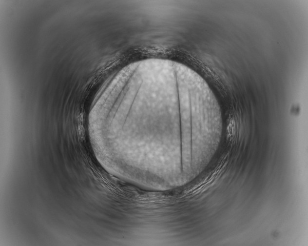 X0000097881156200804110942