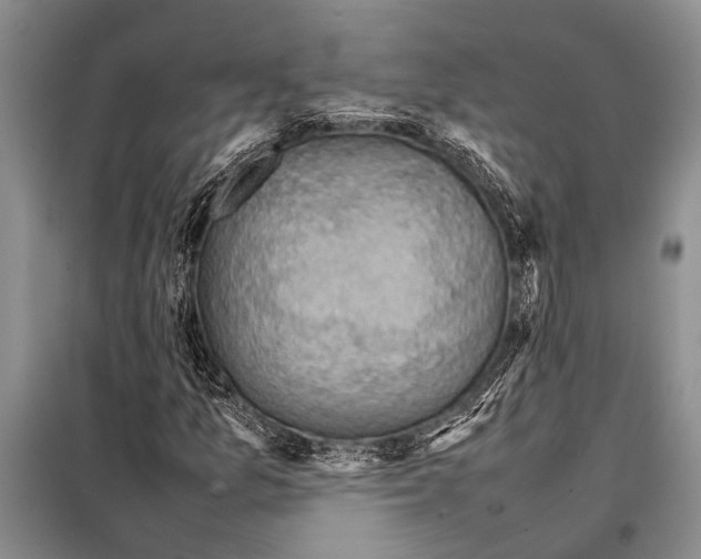 X0000097881157200804110942