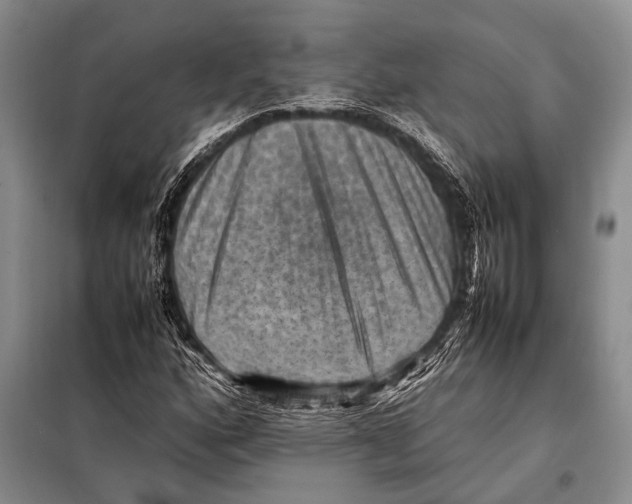 X0000097881160200804110942