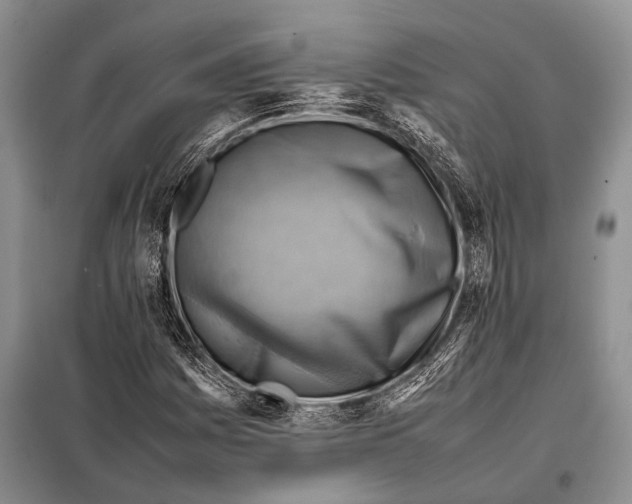 X0000097881161200804110942