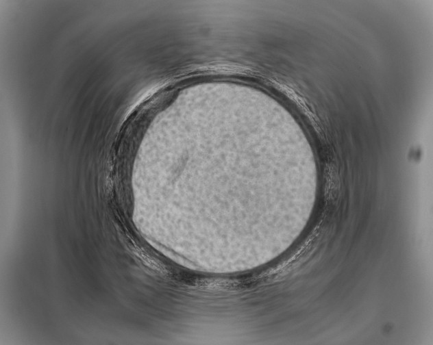 X0000097881163200804110942