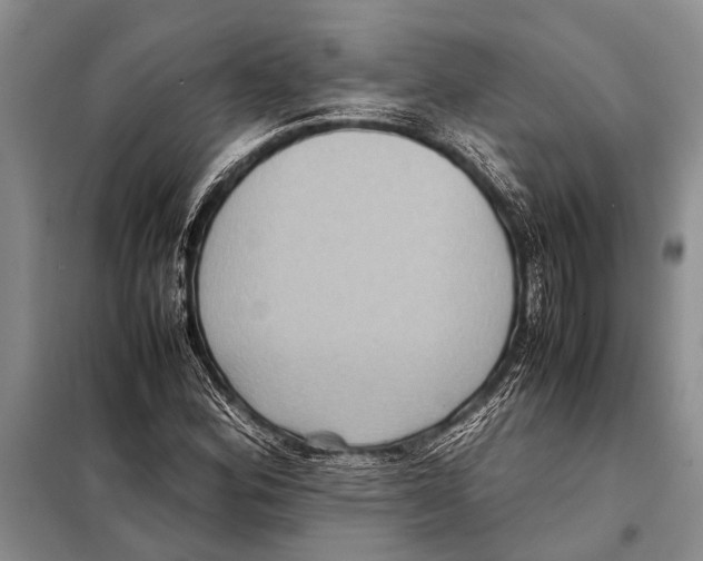 X0000097881164200804110942