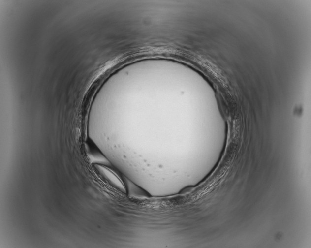 X0000097881165200804110942