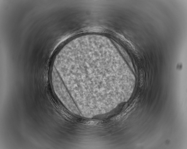 X0000097881166200804110942